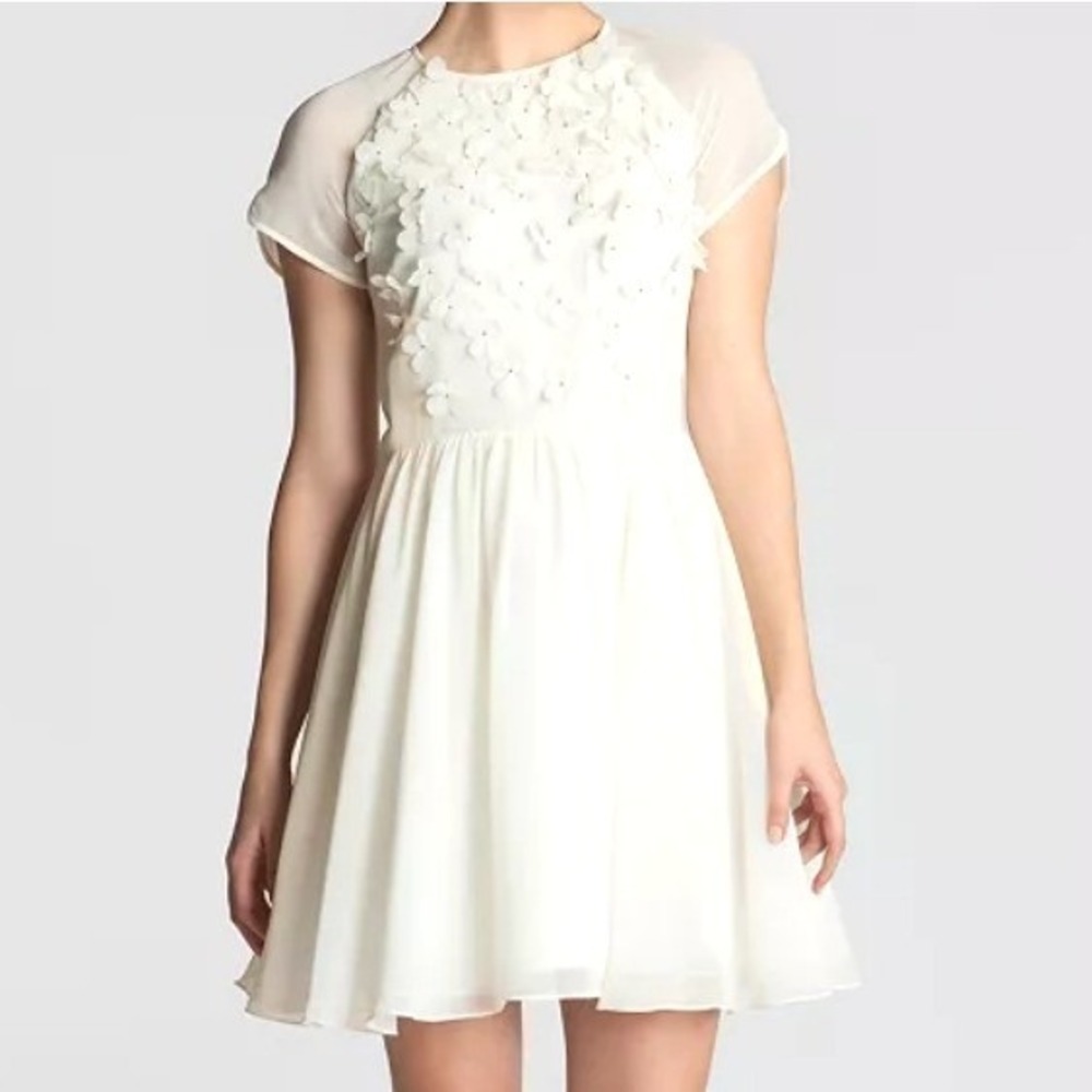 TED BAKER LONDON Women's 8 Ivory 3D Penny Floral Applique Embellished Mini Dress